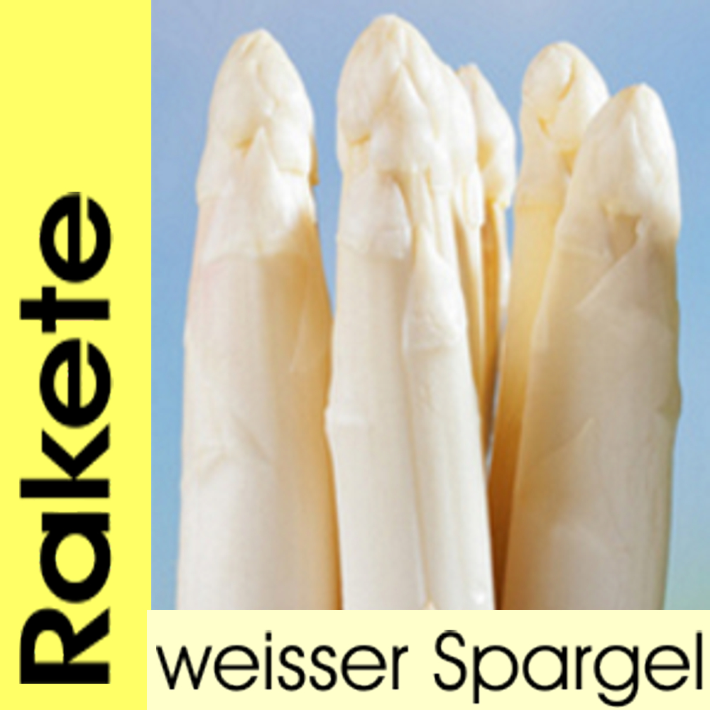 Spargelpflanzen weiß